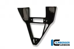 V-panel Carbon - Ducati 749-999